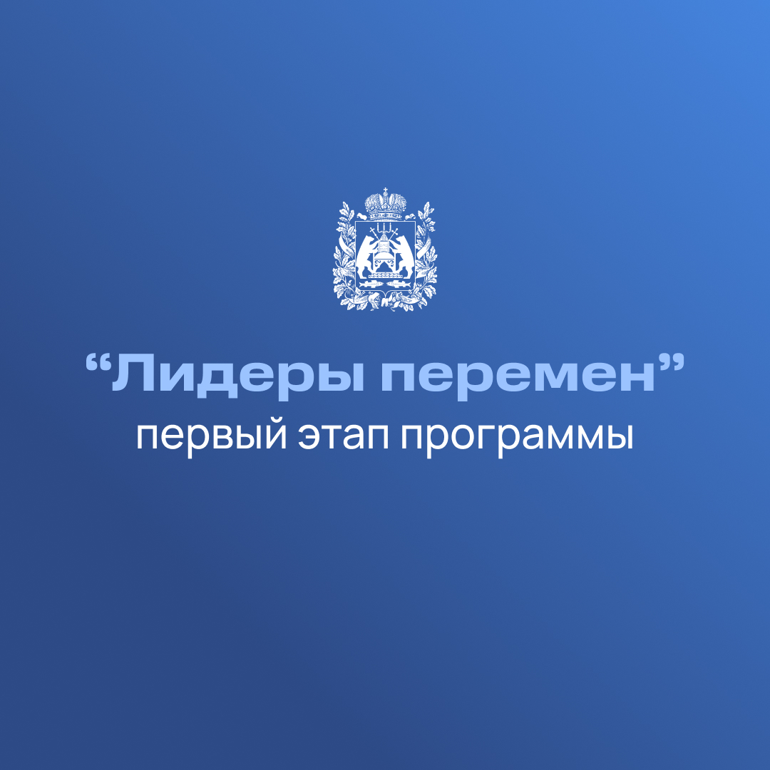 Члены Молодежного парламента при Новгородской областной Думе участвуют в программе по формированию управленческой команды региона «Лидеры перемен»